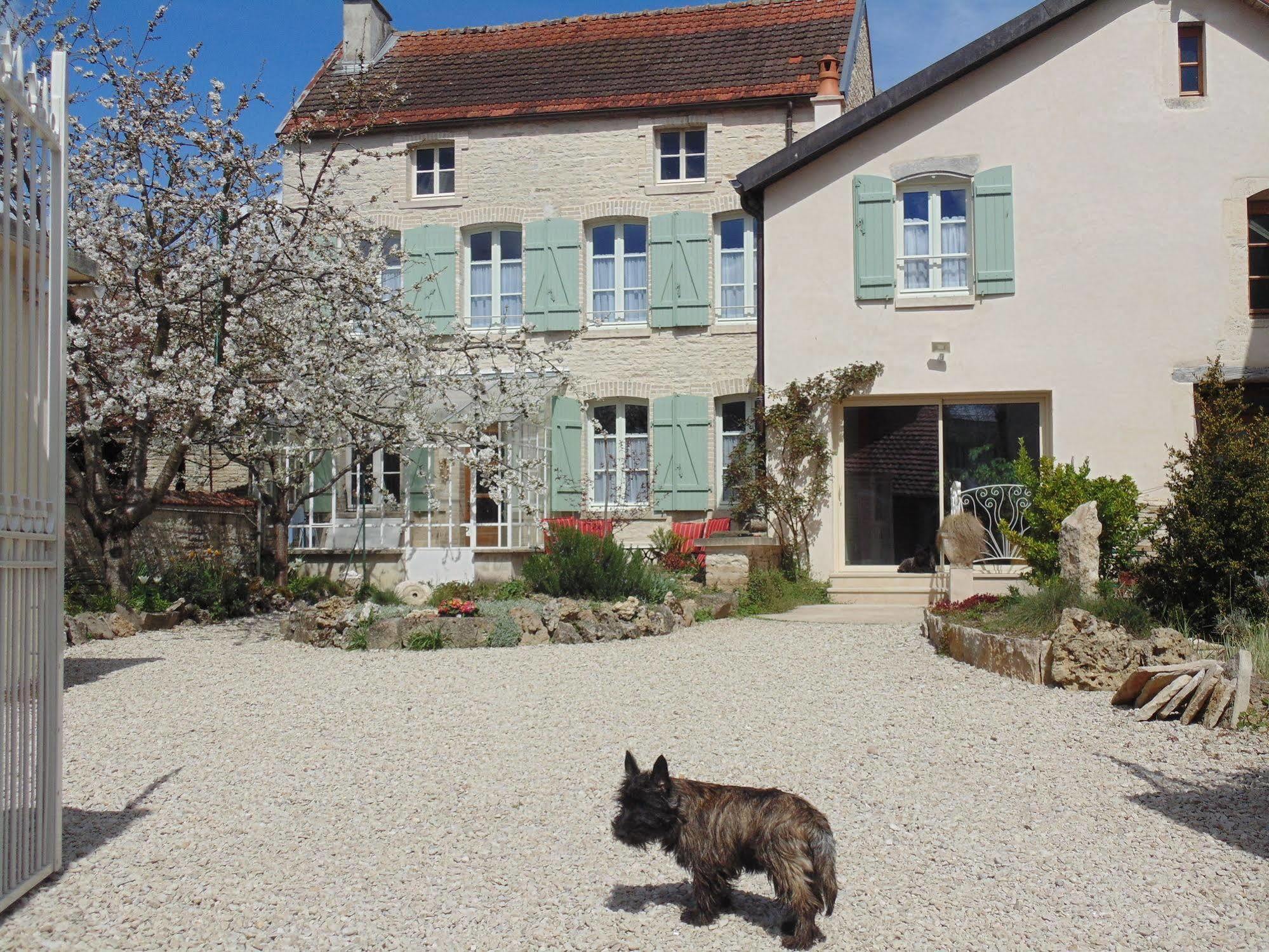 La Promenade En Champagne Bed & Breakfast Mussy-sur-Seine Luaran gambar